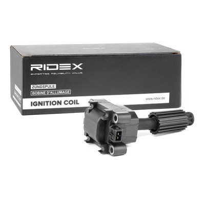 Ignition Coil RIDEX 689C0223 689C0223 - photo 2