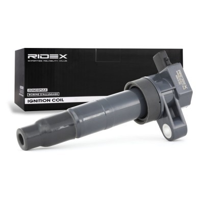 Ignition Coil RIDEX 689C0193 689C0193 - photo 3