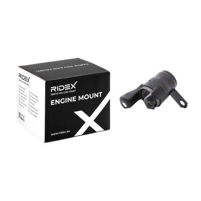 Engine Mounting RIDEX 247E0461 247E0461 - photo 2