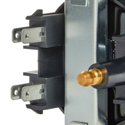 Ignition Coil RIDEX 689C0123P 689C0123P - photo 8