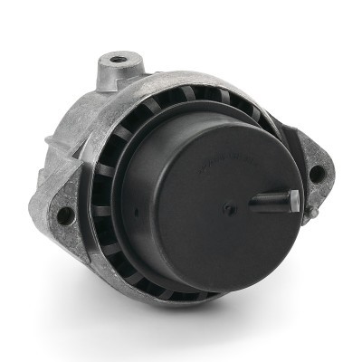 Engine Mounting RIDEX 247E0443 247E0443 - photo 4