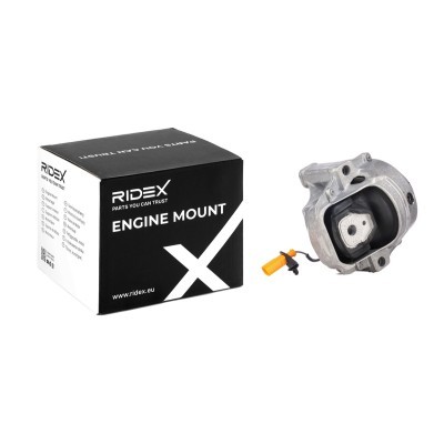 Engine Mounting RIDEX 247E0231 247E0231 - photo 2