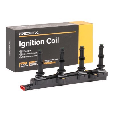 Ignition Coil RIDEX 689C0249 689C0249 - photo 2