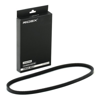 V-Belt RIDEX 10C0061 10C0061 - photo 2