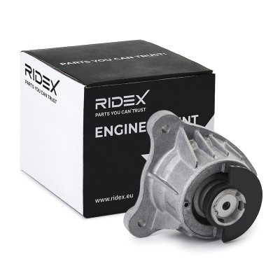 Engine Mounting RIDEX 247E1024 247E1024 - photo 2