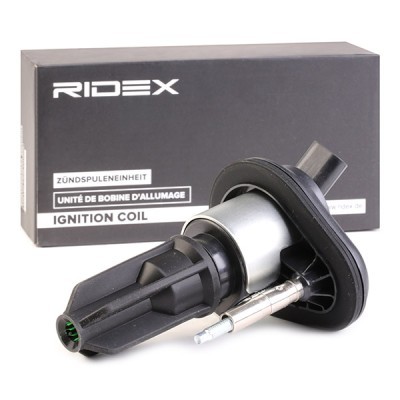 Ignition Coil RIDEX 689C0349 689C0349 - photo 2