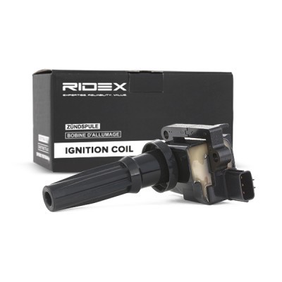 Ignition Coil RIDEX 689C0058 689C0058 - photo 3