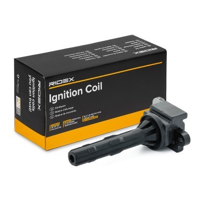 Ignition Coil RIDEX 689C0423 689C0423 - photo 2