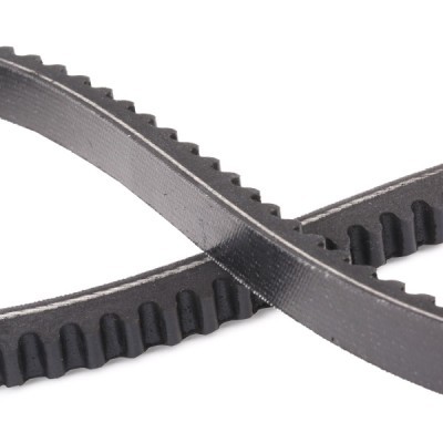 V-Belt RIDEX 10C0037P 10C0037P - photo 5