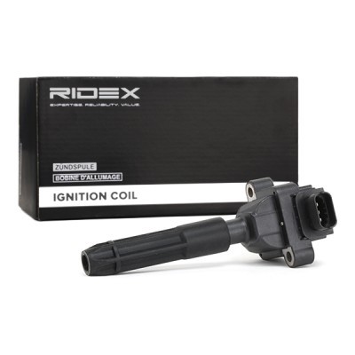 Ignition Coil RIDEX 689C0227 689C0227 - photo 3