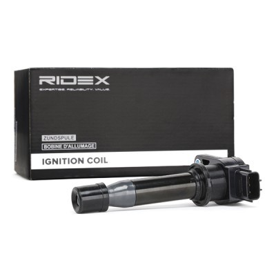 Ignition Coil RIDEX 689C0246 689C0246 - photo 3