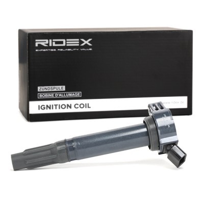 Ignition Coil RIDEX 689C0166 689C0166 - photo 3