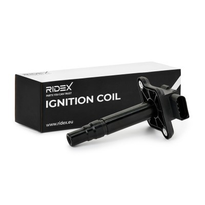 Ignition Coil RIDEX 689C0021 689C0021 - photo 2