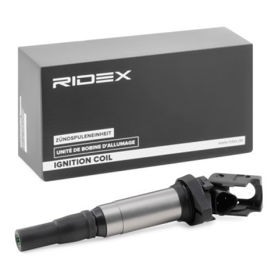 Ignition Coil RIDEX 689C0343 689C0343 - photo 2
