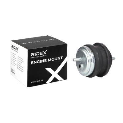 Engine Mounting RIDEX 247E0053 247E0053 - photo 2