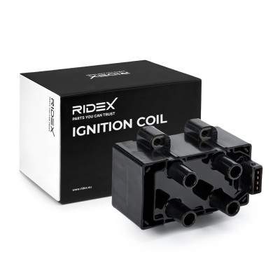 Ignition Coil RIDEX 689C0160 689C0160 - photo 2
