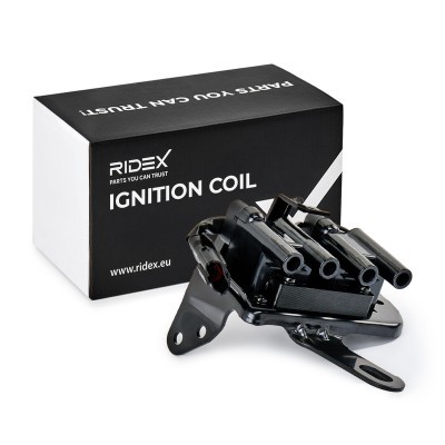 Ignition Coil RIDEX 689C0118 689C0118 - photo 2