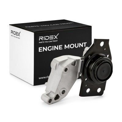 Engine Mounting RIDEX 247E0698 247E0698 - photo 2