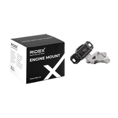 Engine Mounting RIDEX 247E0576 247E0576 - photo 2