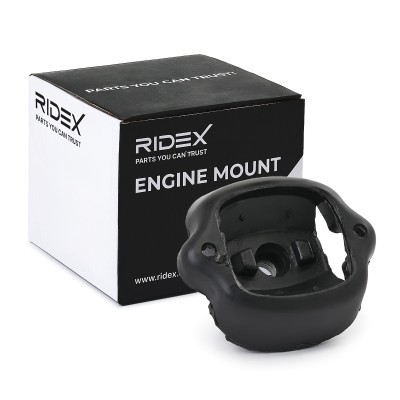 Engine Mounting RIDEX 247E1069 247E1069 - photo 2