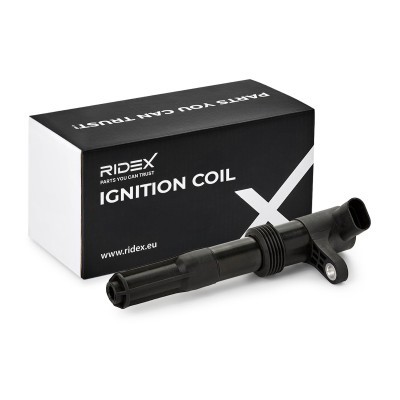 Ignition Coil RIDEX 689C0095 689C0095 - photo 2