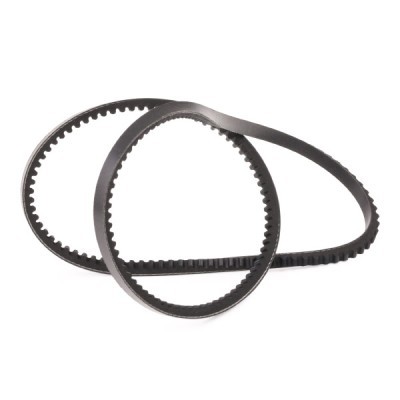 V-Belt RIDEX 10C0079P 10C0079P - photo 3