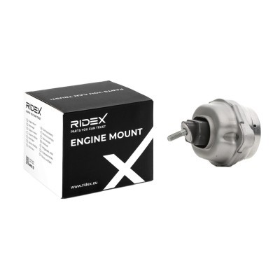 Engine Mounting RIDEX 247E0401 247E0401 - photo 2
