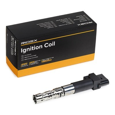 Ignition Coil RIDEX 689C0148 689C0148 - photo 2