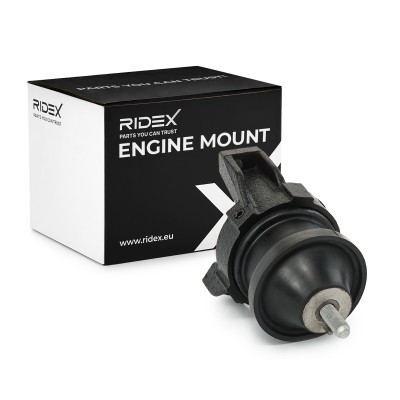 Engine Mounting RIDEX 247E0821 247E0821 - photo 2