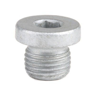 Oil Plug RIDEX 593D0024 593D0024 - photo 3