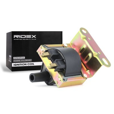 Ignition Coil RIDEX 689C0251 689C0251 - photo 3