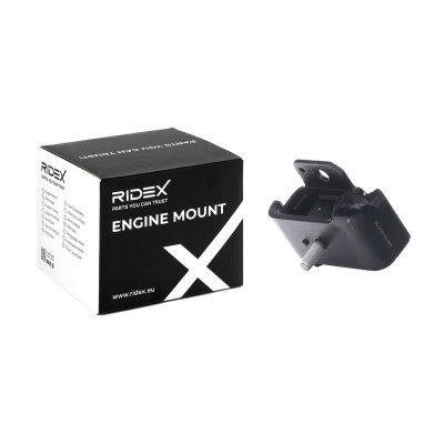 Engine Mounting RIDEX 247E0208 247E0208 - photo 2