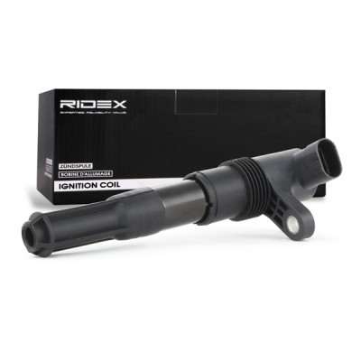 Ignition Coil RIDEX 689C0095 689C0095 - photo 3