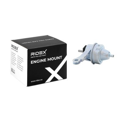 Engine Mounting RIDEX 247E0262 247E0262 - photo 2