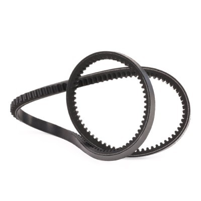 V-Belt RIDEX 10C0061P 10C0061P - photo 3