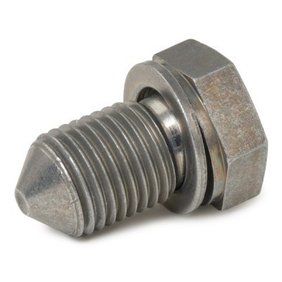 Oil Plug RIDEX 593D0002 593D0002 - photo 4