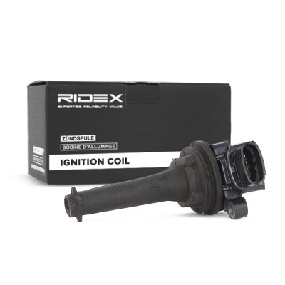 Ignition Coil RIDEX 689C0004 689C0004 - photo 3