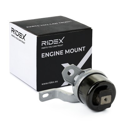 Engine Mounting RIDEX 247E0715 247E0715 - photo 2
