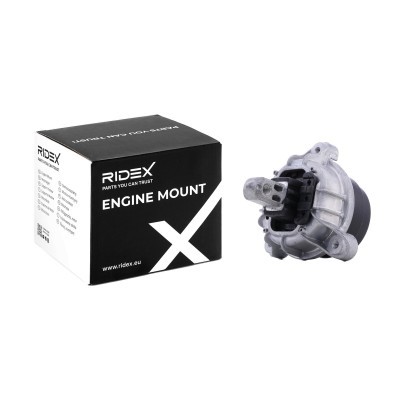 Engine Mounting RIDEX 247E0331 247E0331 - photo 2