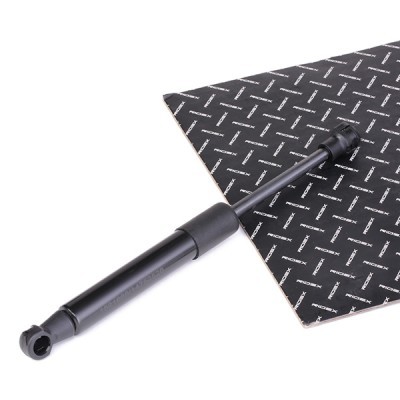 Bonnet Gas RIDEX 1207G0004 1207G0004 - photo 2