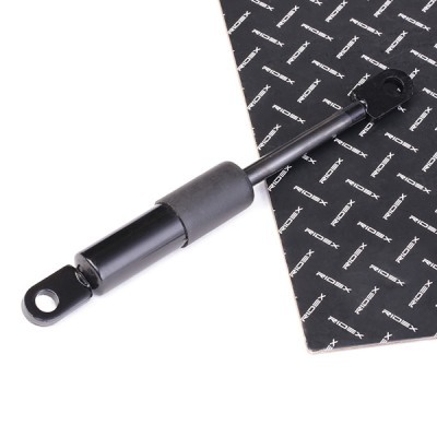 Bonnet Gas RIDEX 1207G0007 1207G0007 - photo 2