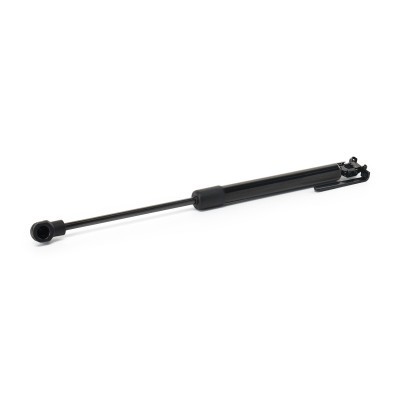 Bonnet Gas RIDEX 1207G0006 1207G0006 - photo 2