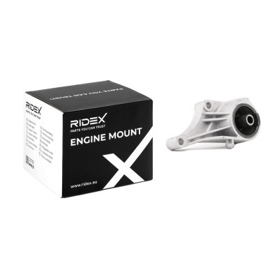 Engine Mounting RIDEX 247E0110 247E0110 - photo 2