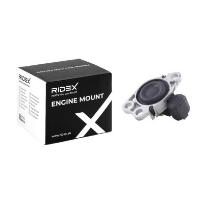 Engine Mounting RIDEX 247E0120 247E0120 - photo 2