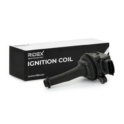 Ignition Coil RIDEX 689C0004 689C0004 - photo 2