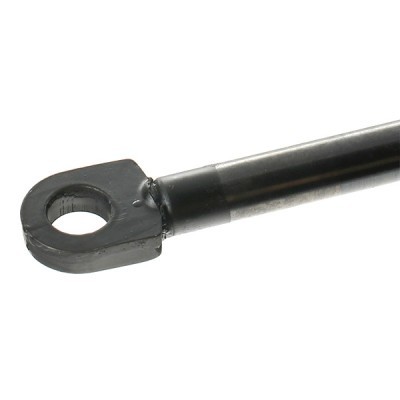 Bonnet Gas RIDEX 1207G0002 1207G0002 - photo 5