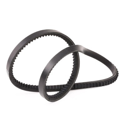 V-Belt RIDEX 10C0028P 10C0028P - photo 3