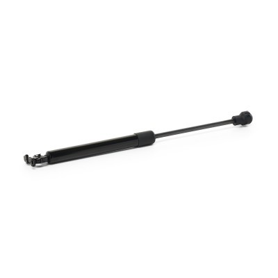 Bonnet Gas RIDEX 1207G0006 1207G0006 - photo 3