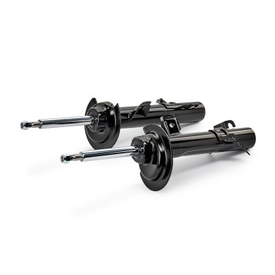 Shock Absorber RIDEX 854S2262 854S2262 - photo 8