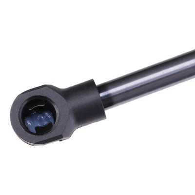 Bonnet Gas RIDEX 1207G0004 1207G0004 - photo 4